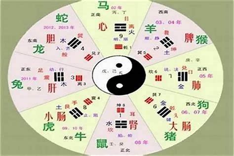 偉五行|伟字的五行属性